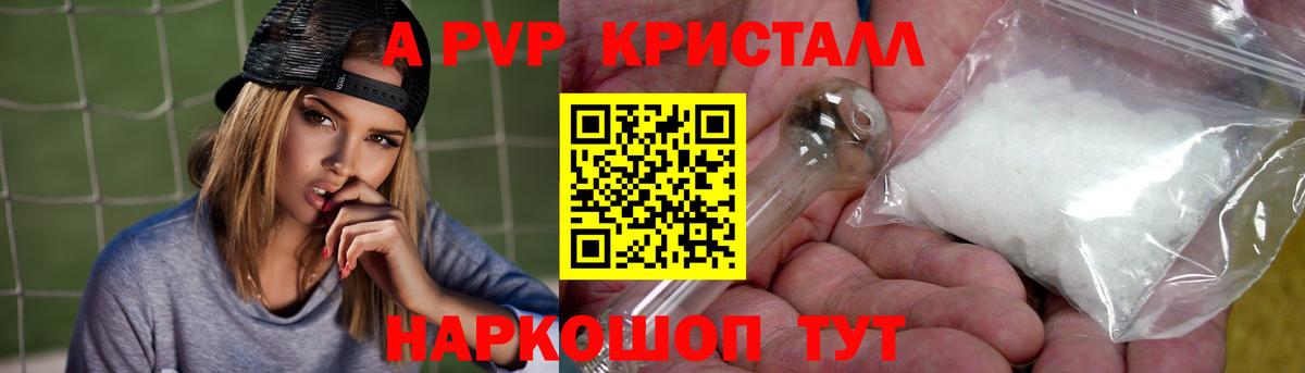 APVP СК Ногинск