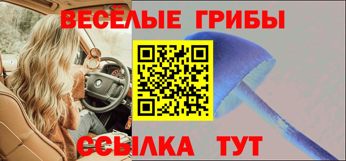 Галлюциногенные грибы GOLDEN TEACHER  Вход с VPN  Ногинск 